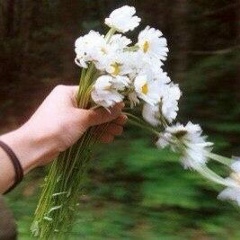 Мадина Нуржанова, 05.05, Алматы