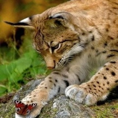 Татьяна Крашенинина, 13.04, Тюмень