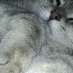 Владимир Чукин, 13.03, Кумертау