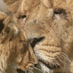 Павел Тагаков, 14.08, Луганск