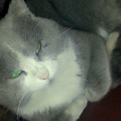 Алмаз Буламбай, 14.02, Алматы