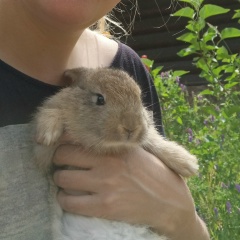 Анастасия Тишина, Санкт-Петербург