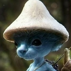 Руслан Джарулин, Санкт-Петербург