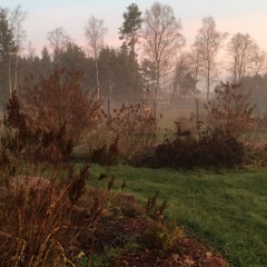 Светлана Самохвалова, 12.11, Санкт-Петербург