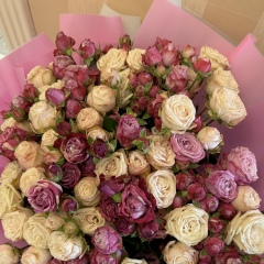 Алина Григорьева, Донецк