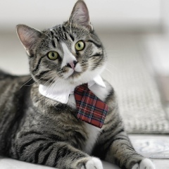 Дима Минеев, 21.03.1989, Москва