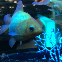 Татьяна Буюклы, 30.08