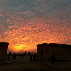 Давид Давидов, Владикавказ