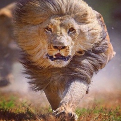 Азат Шуиншбаев, 16.07