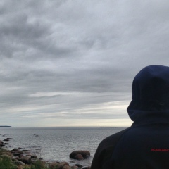 Вячеслав Студеникин, Санкт-Петербург