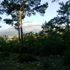 Степан Шарипов, 05.07.1985, Санкт-Петербург