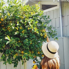 Эмилия Шевелькова, 24.03