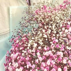Алина Мышастая, 21.04
