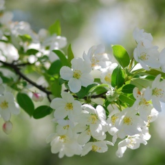 Оксана Рыбалко, 16.05, Санкт-Петербург