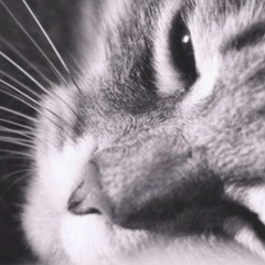 Александр Котов, 08.07.1990, Москва