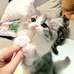 Айгерим Маратова, 06.07, Актау