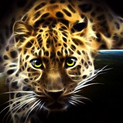 Алексей Матвиенко, 12.12