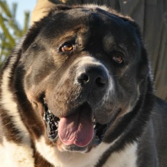 Дмитрий Беланович, 29.08.1974, Барановичи