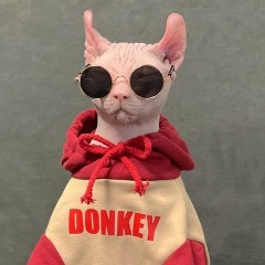 Роман Ким, 19.03, Алматы