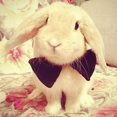 Carren Walker, 04.12.1994, Кишинев