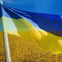 Руслан Вельгус, 12.05.1987, Бердичев