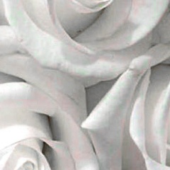 Nikolai Gubanov, 23.06.1985, Санкт-Петербург