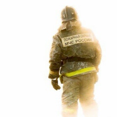 Евгений Елин