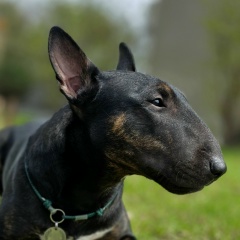 Людмила Горовенко, 09.01, Волгоград