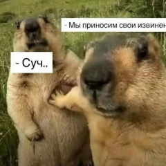 Алёнка Малыца, 18.06, Донецк