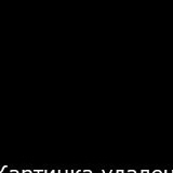 Виталий Егоров, Кириши