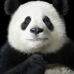 Игорь Баженов, 18.08.1990, Челябинск