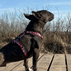 Алексей Павлов