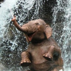 Слава Юрич, 12.11