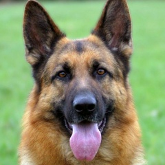 Елена Куликовская, 21.10, Гродно