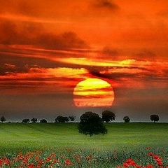 Жанна Краснова, 29.04.1976