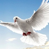 Ирина Ракова, 09.05, Калининград