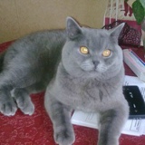 Карина Герасимова, 29.01.1974, Санкт-Петербург