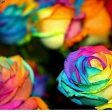 Лиля Лачугина, 22.10.1998, Москва