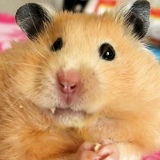 Elmira Novikova, 11.08.1984, Москва