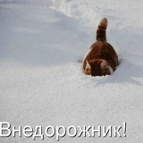 Александр Брыков, 27.07.1987, Москва