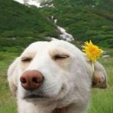 Элина Новикова, 20.09, Орехово-Зуево