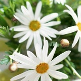 Ольга Глухова (бараева), 12.12, Череповец