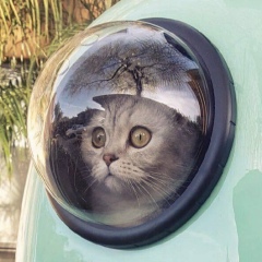 Veritas Ariston, 08.12, Красноярск