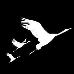 Антон Галиуллин, 11.10, Подольск