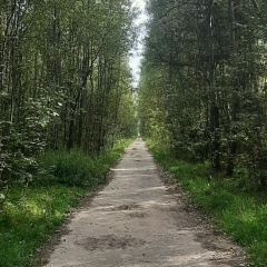 Николай Щербаков, Москва