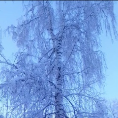 Ольга М