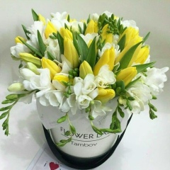 Зоя Тайшигулова, 08.07.2000, Актобе