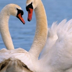 Омаль Иксанова, 02.05, Казань