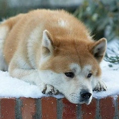 Алексей Смирнов, 12.01, Иваново