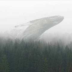 Ирина Коноваленко, 06.04.1988, Одесса